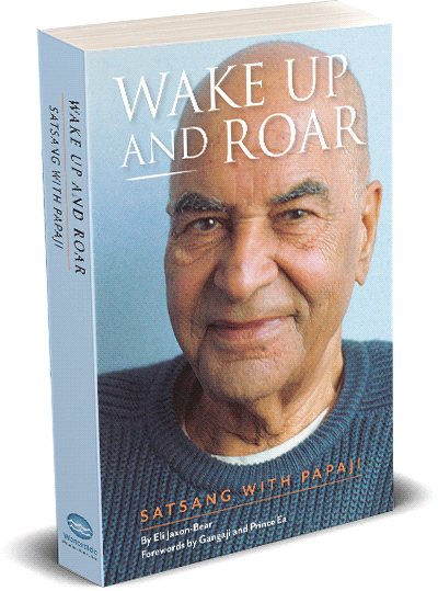 Wake Up and Roar cover 3d